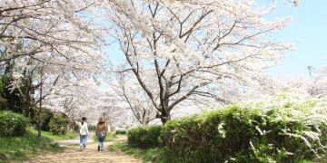 保育所等施設への入所をこれから希望する方向け