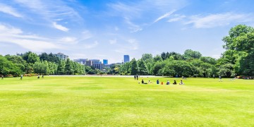 公園をつかうとき
