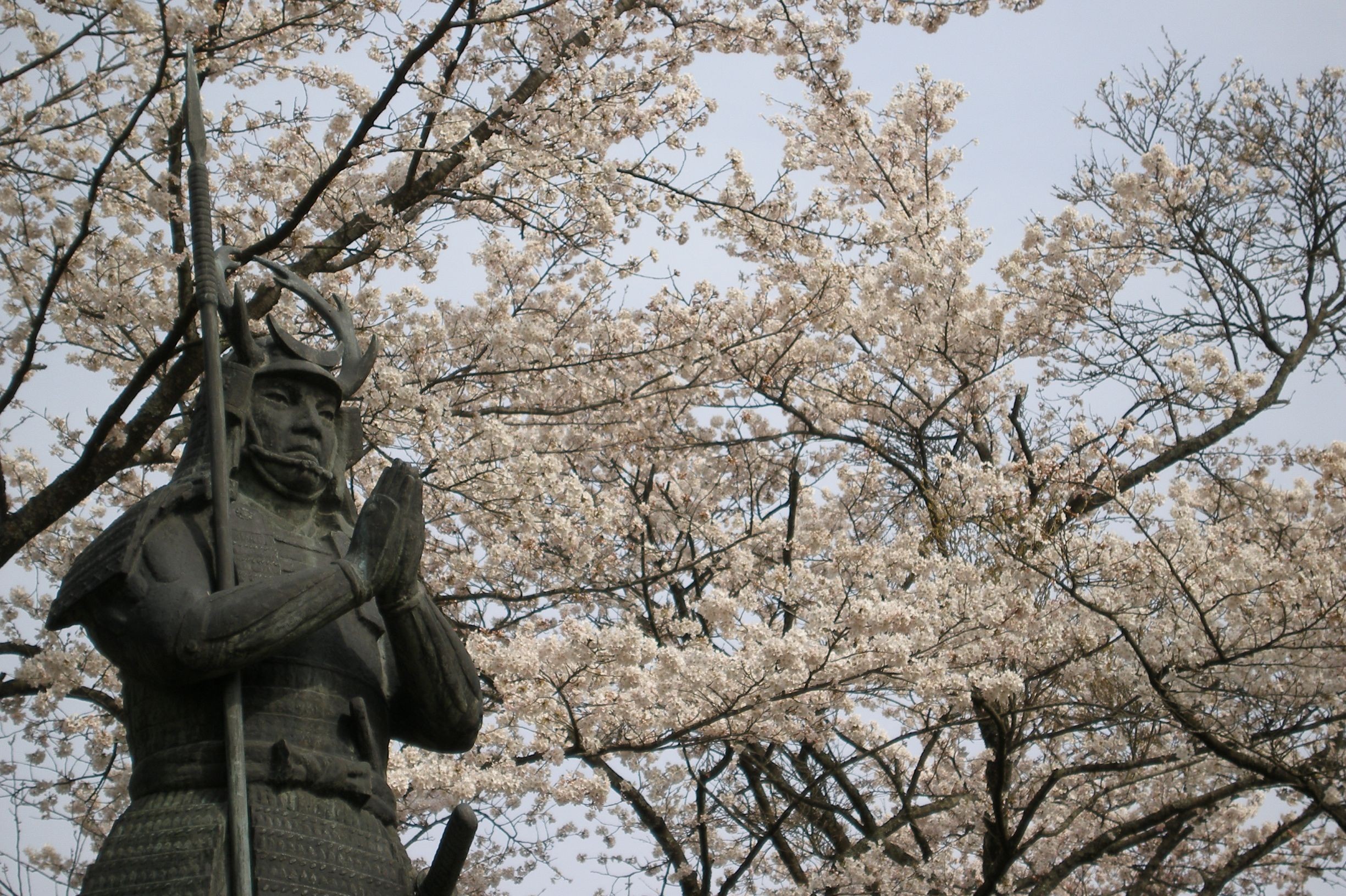 安来市オンライン申請対象手続き